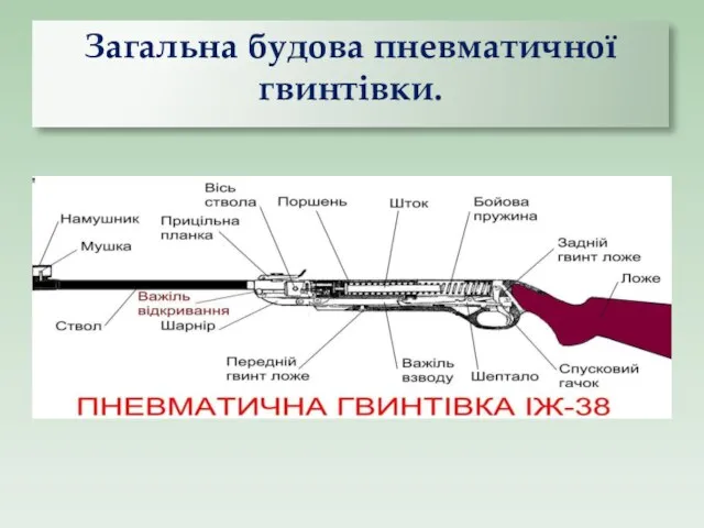 Загальна будова пневматичної гвинтівки.