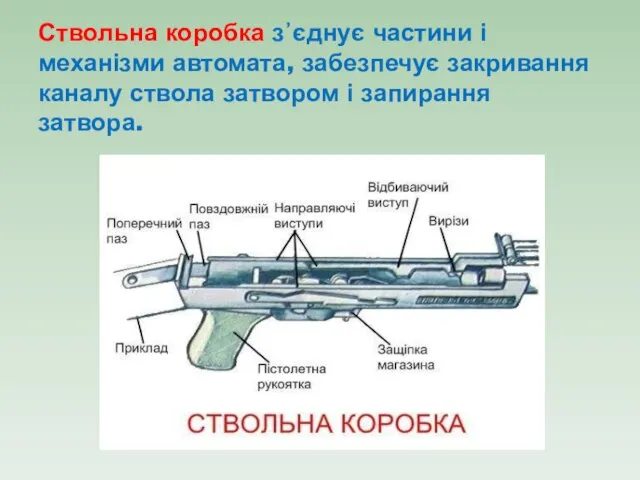 Ствольна коробка з᾽єднує частини і механізми автомата, забезпечує закривання каналу ствола затвором і запирання затвора.