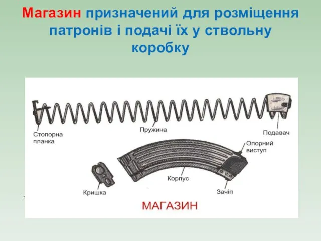 Магазин призначений для розміщення патронів і подачі їх у ствольну коробку .