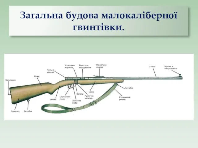 Загальна будова малокаліберної гвинтівки.