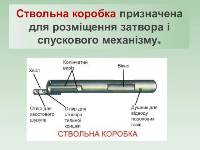 Ствольна коробка призначена для розміщення затвора і спускового механізму.