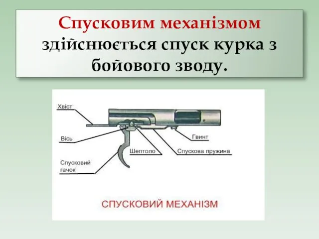 Спусковим механізмом здійснюється спуск курка з бойового зводу.