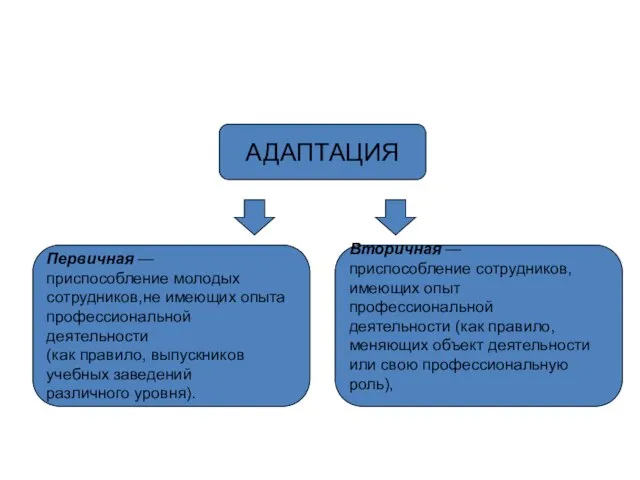 АДАПТАЦИЯ Первичная — приспособление молодых сотрудников,не имеющих опыта профессиональной деятельности (как правило,