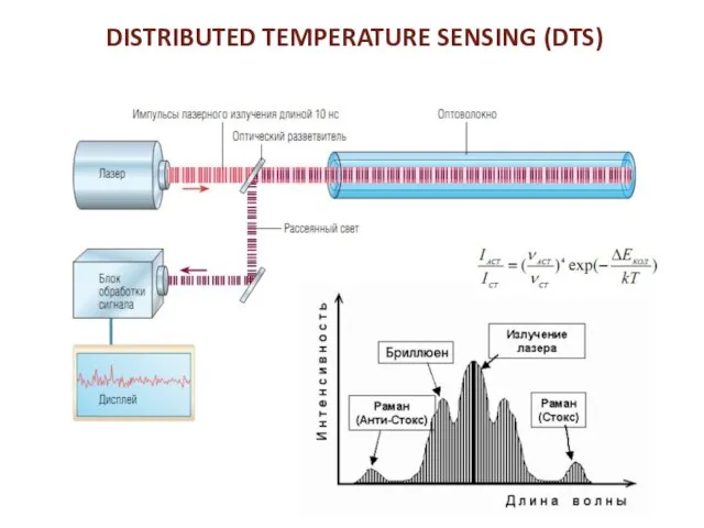 DISTRIBUTED TEMPERATURE SENSING (DTS)