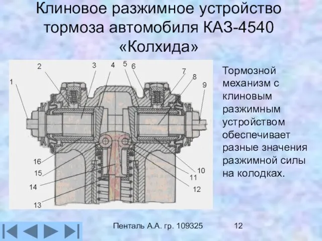 Пенталь А.А. гр. 109325 Клиновое разжимное устройство тормоза автомобиля КАЗ-4540 «Колхида» Тормозной