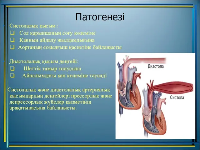 Патогенезі Систолалық қысым : Сол қарыншаның соғу көлеміне Қанның айдалу жылдамдығына Аортаның