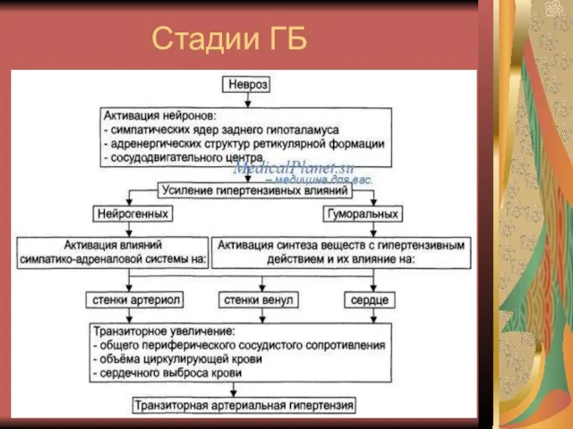 Стадии ГБ