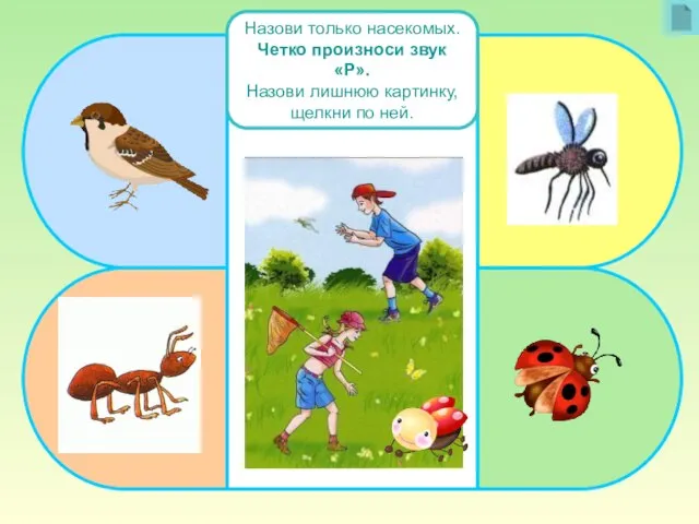 Назови только насекомых. Четко произноси звук «Р». Назови лишнюю картинку, щелкни по ней.