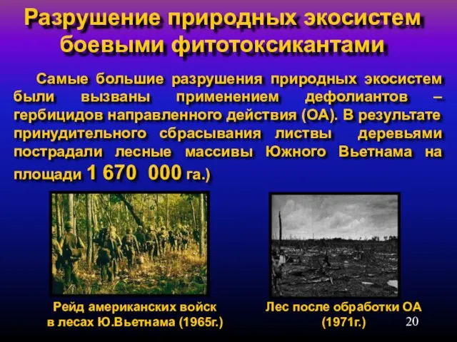 Разрушение природных экосистем боевыми фитотоксикантами Лес после обработки ОА (1971г.) Рейд американских