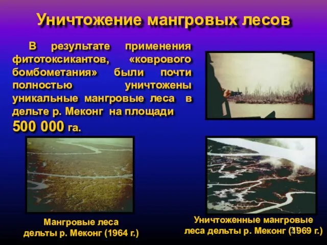 Уничтожение мангровых лесов Мангровые леса дельты р. Меконг (1964 г.) Уничтоженные мангровые