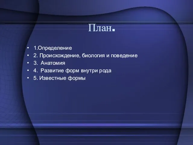 План. 1.Определение 2. Происхождение, биология и поведение 3. Анатомия 4. Развитие форм