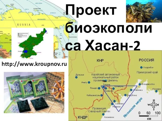 Проект биоэкополиса Хасан-2 http://www.kroupnov.ru