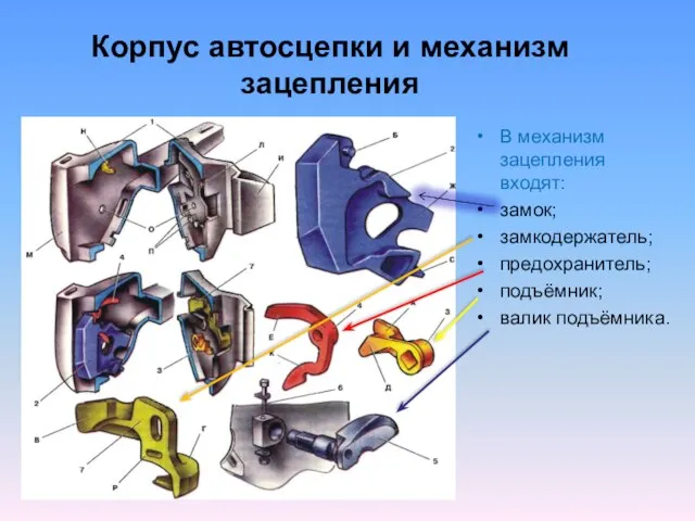 Корпус автосцепки и механизм зацепления В механизм зацепления входят: замок; замкодержатель; предохранитель; подъёмник; валик подъёмника.