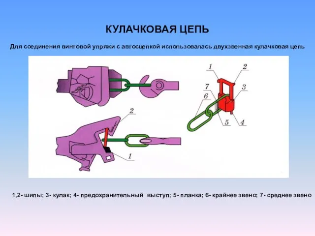 КУЛАЧКОВАЯ ЦЕПЬ Для соединения винтовой упряжи с автосцепкой использовалась двухзвенная кулачковая цепь