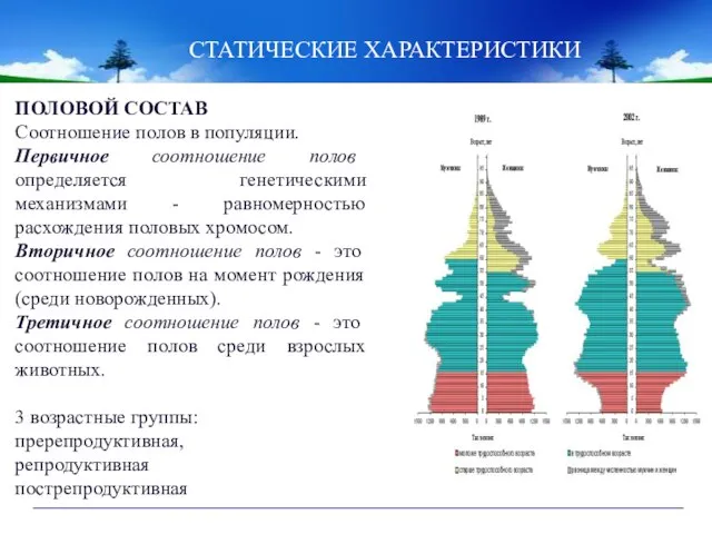 ПОЛОВОЙ СОСТАВ Соотношение полов в популяции. Первичное соотношение полов определяется генетическими механизмами