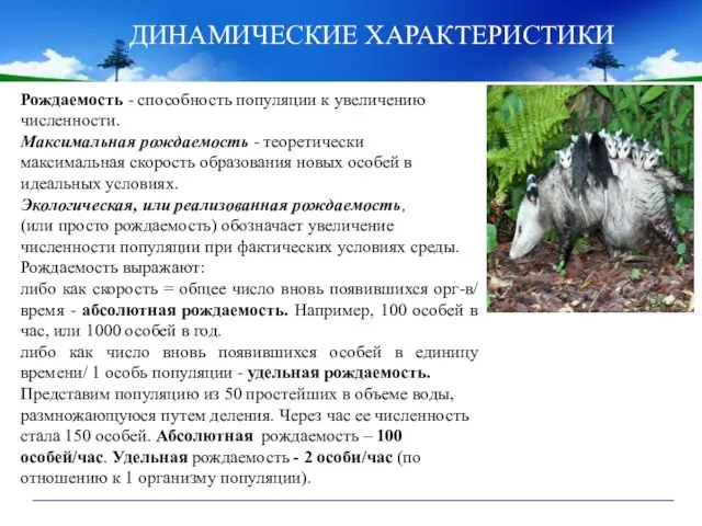 ДИНАМИЧЕСКИЕ ХАРАКТЕРИСТИКИ Рождаемость - способность популяции к увеличению численности. Максимальная рождаемость -