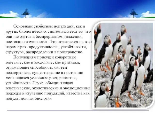 Основным свойством популяций, как и других биологических систем является то, что они