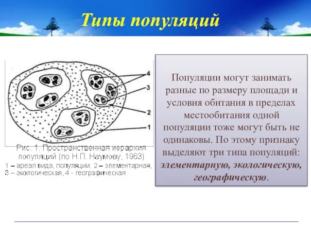 Типы популяций Популяции могут занимать разные по размеру площади и условия обитания