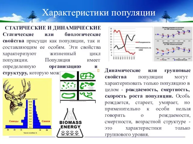 Характеристики популяции СТАТИЧЕСКИЕ И ДИНАМИЧЕСКИЕ Статические или биологические свойства присущи как популяции,