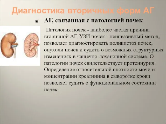 Диагностика вторичных форм АГ АГ, связанная с патологией почек Патология почек -