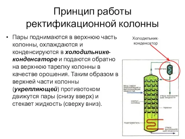 Принцип работы ректификационной колонны Пары поднимаются в верхнюю часть колонны, охлаждаются и