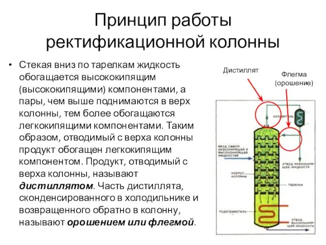 Принцип работы ректификационной колонны Стекая вниз по тарелкам жидкость обогащается высококипящим (высококипящими)