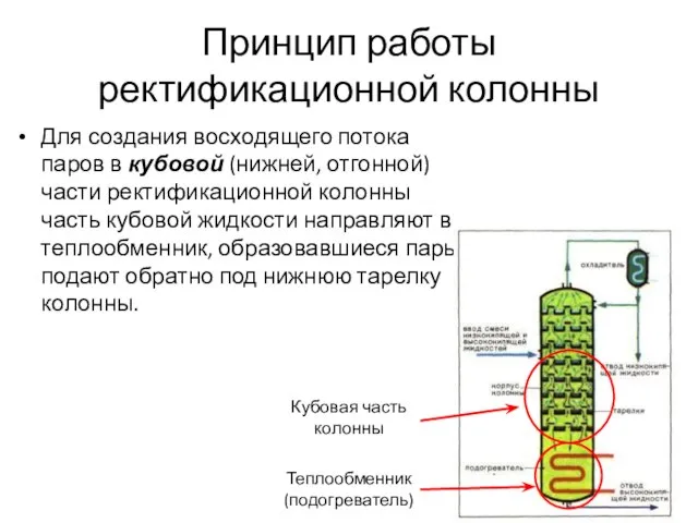 Принцип работы ректификационной колонны Для создания восходящего потока паров в кубовой (нижней,