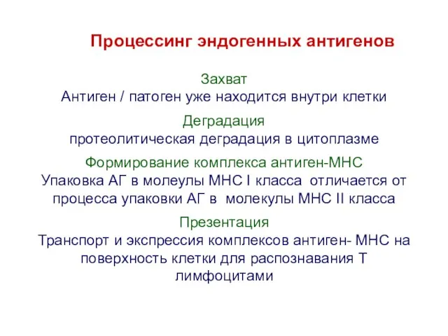 Захват Антиген / патоген уже находится внутри клетки Деградация протеолитическая деградация в