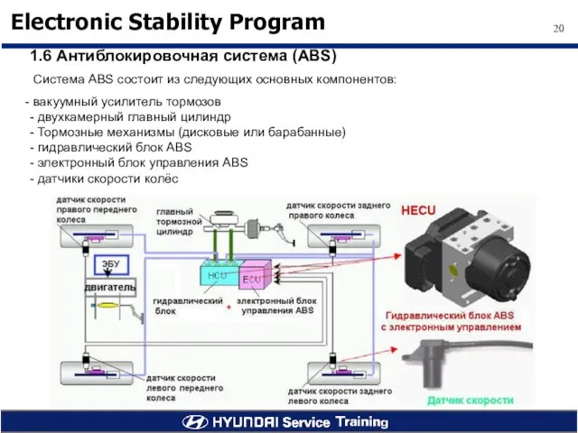 1.6 Антиблокировочная система (ABS) Система ABS состоит из следующих основных компонентов: вакуумный