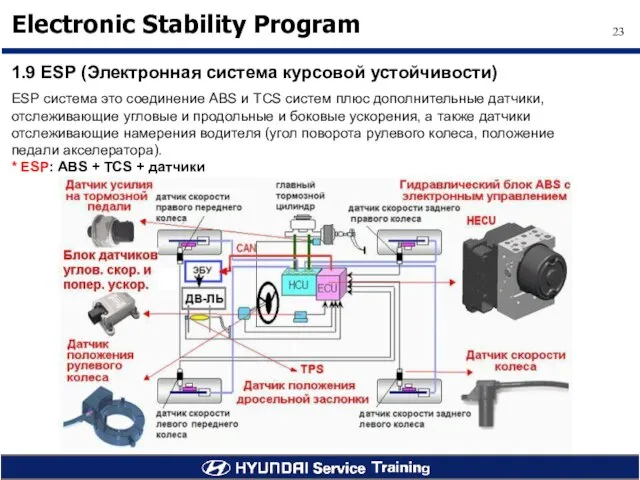 1.9 ESP (Электронная система курсовой устойчивости) ESP система это соединение ABS и