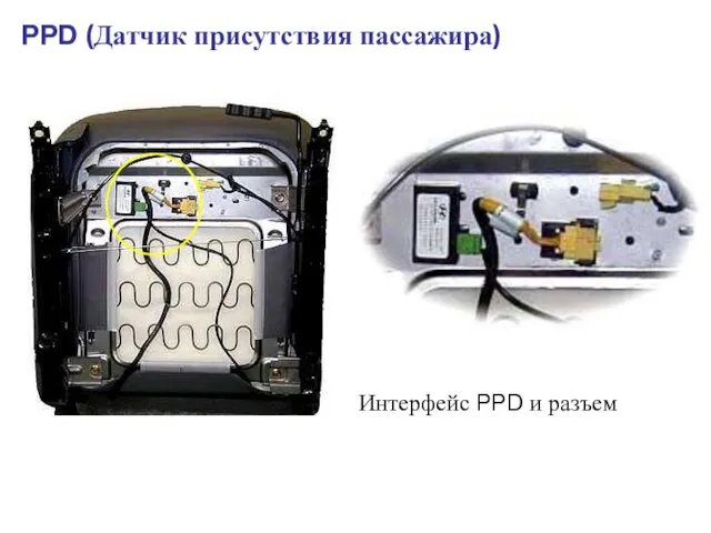 PPD (Датчик присутствия пассажира) Интерфейс PPD и разъем