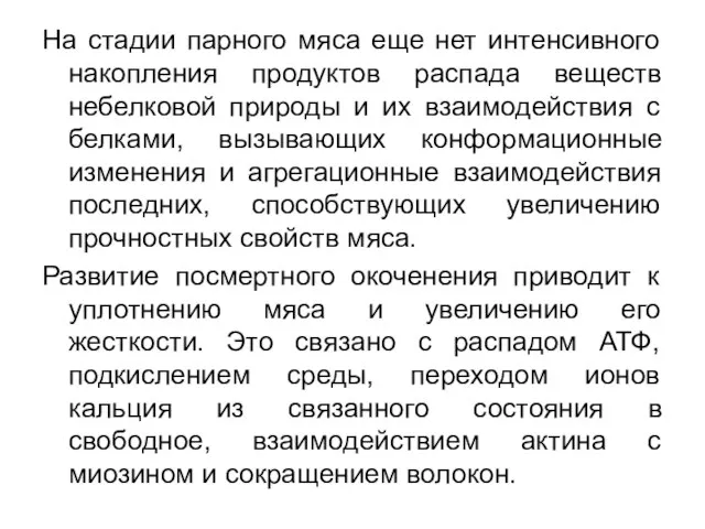 На стадии парного мяса еще нет интенсивного накопления продуктов распада веществ небелковой