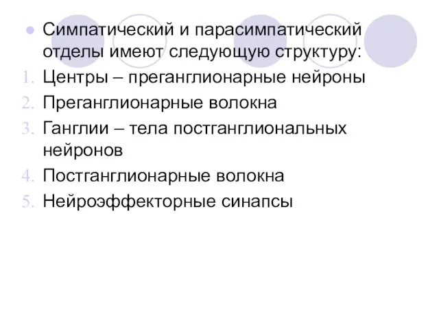 Симпатический и парасимпатический отделы имеют следующую структуру: Центры – преганглионарные нейроны Преганглионарные