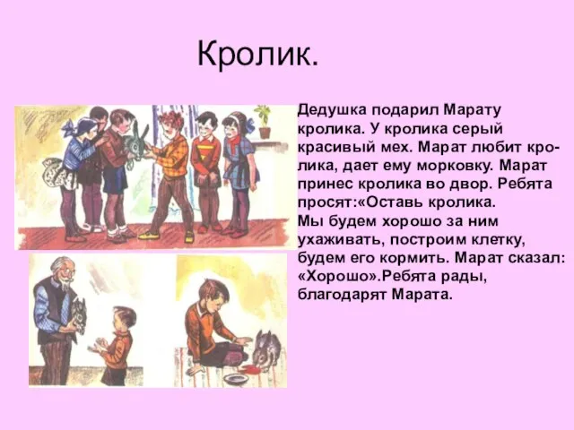 Кролик. Дедушка подарил Марату кролика. У кролика серый красивый мех. Марат любит