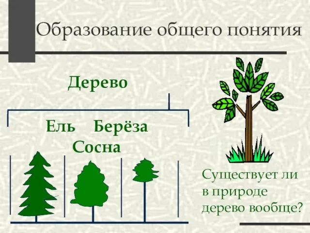 Образование общего понятия Ель Берёза Сосна Дерево Существует ли в природе дерево вообще?