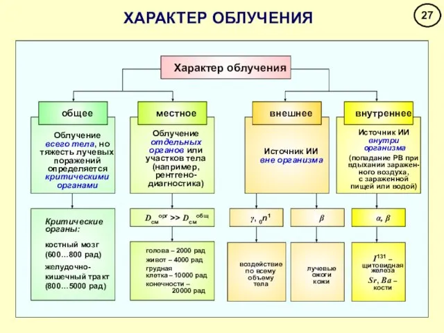 ХАРАКТЕР ОБЛУЧЕНИЯ