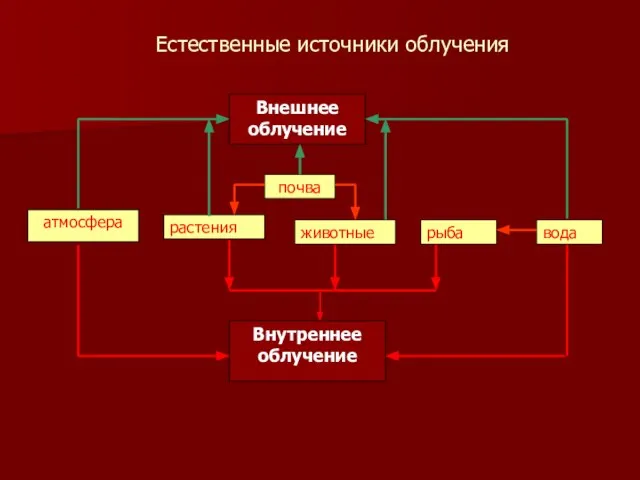 Естественные источники облучения Внешнее облучение почва атмосфера растения животные рыба вода Внутреннее облучение