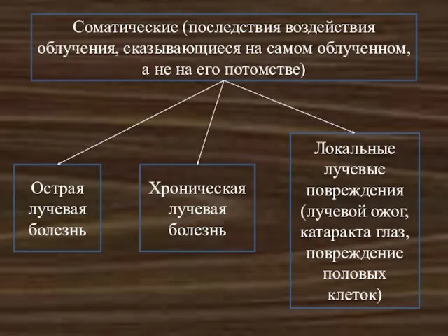 Соматические (последствия воздействия облучения, сказывающиеся на самом облученном, а не на его