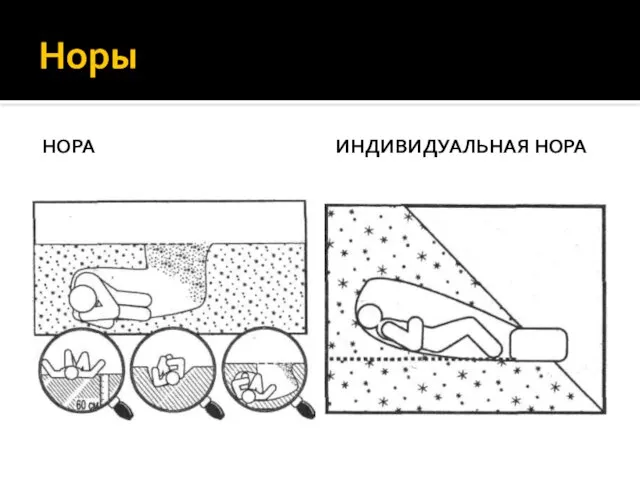 Норы НОРА ИНДИВИДУАЛЬНАЯ НОРА