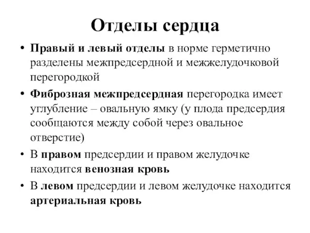 Отделы сердца Правый и левый отделы в норме герметично разделены межпредсердной и