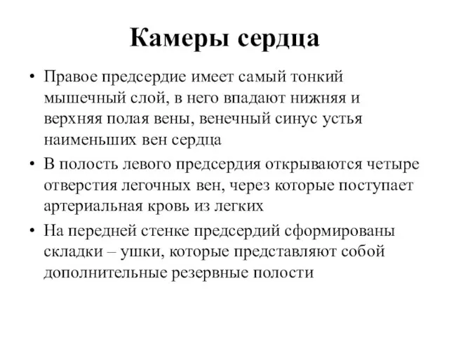 Камеры сердца Правое предсердие имеет самый тонкий мышечный слой, в него впадают