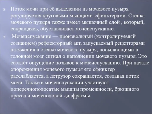 Поток мочи при её выделении из мочевого пузыря регулируется круговыми мышцами-сфинктерами. Стенка