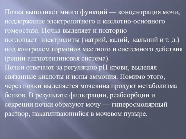 Почка выполняет много функций — концентрация мочи, поддержание электролитного и кислотно-основного гомеостаза.