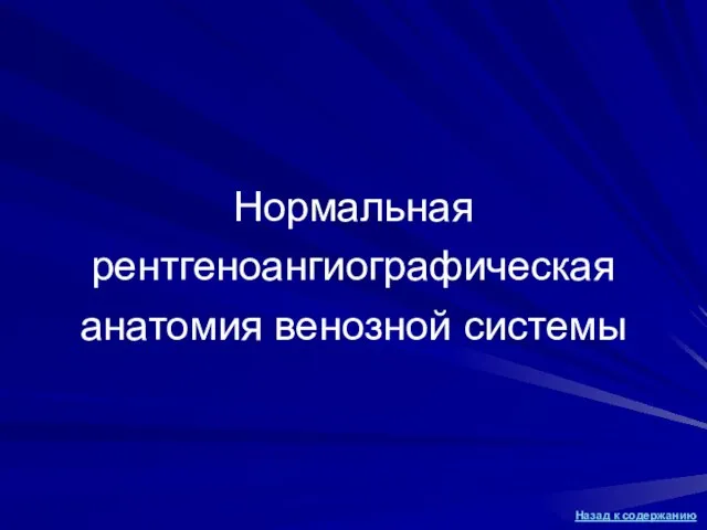 Нормальная рентгеноангиографическая анатомия венозной системы