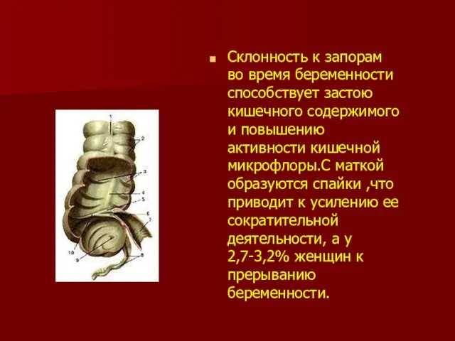 Склонность к запорам во время беременности способствует застою кишечного содержимого и повышению