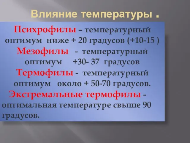 Психрофилы – температурный оптимум ниже + 20 градусов (+10-15 ) Мезофилы -