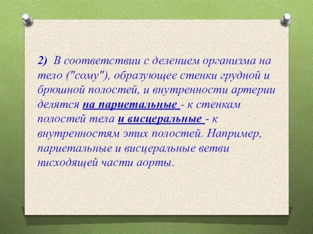 2) В соответствии с делением организма на тело ("сому"), образующее стенки грудной