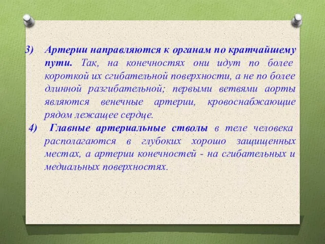 Артерии направляются к органам по кратчайшему пути. Так, на конечностях они идут