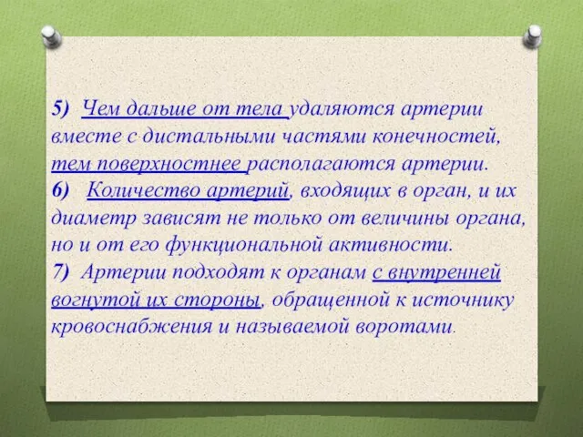 5) Чем дальше от тела удаляются артерии вместе с дистальными частями конечностей,