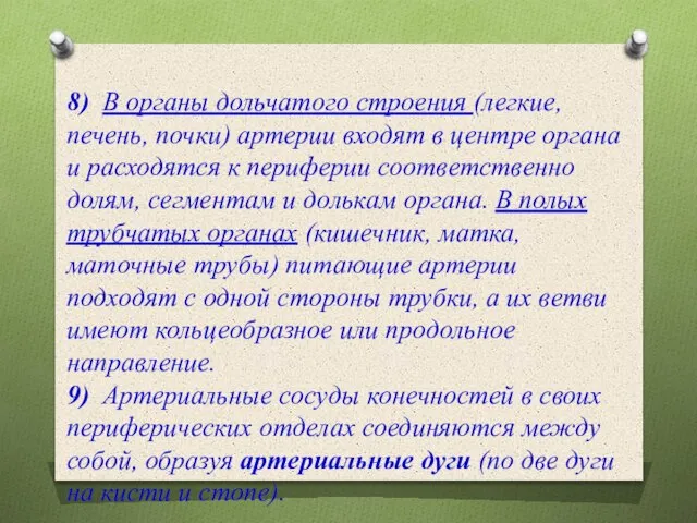 8) В органы дольчатого строения (легкие, печень, почки) артерии входят в центре